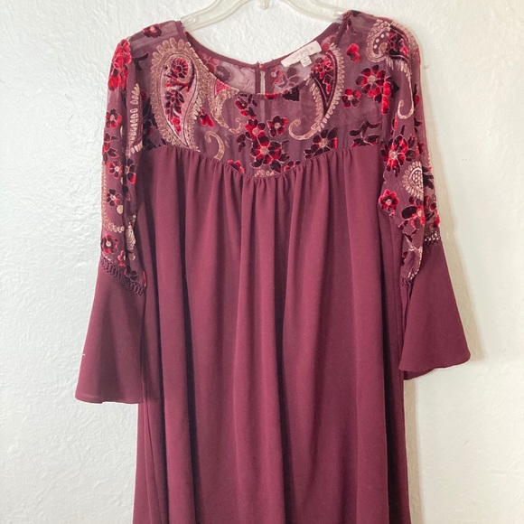 Swing dress with bell sleeves and burnout detail - Picture 1 of 5